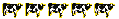 5 Cows